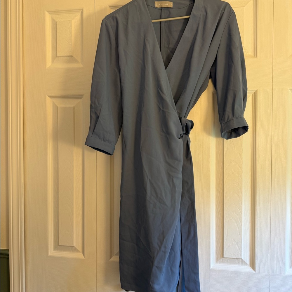 Everlane Periwinkle Japanese GoWeave Dress